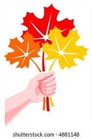 The hand holding a bouquet from autumn maple leaves.