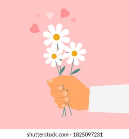 Hand holding a bouquet of chamomiles. Flowers in the hand. Vector iilustration. Flat style