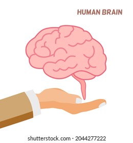 A hand holding brain, talk about brain concept, human brain vector