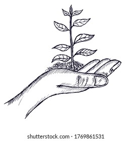 hand holding a branch of tree