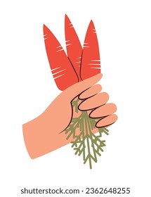 Hand holding a bunch of carrots. Creative simple clip art. Harvest Festival. Fresh vegetables. Modern illustration with organic natural products. 