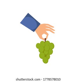 Hand holding a bunch of grape. Flat cartoon style vector illustration isolated on white background	