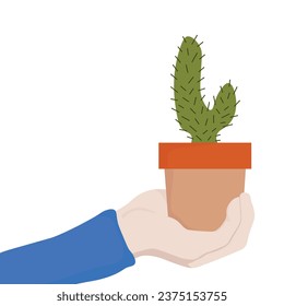 Hand holding cactus in the pot. Vector illustration isolated on white background. Suitable for advertising and promotion.