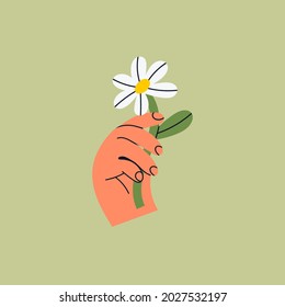 Hand holding camomile Flower. Hand drawn colored trendy Vector isolated illustration. Cartoon style. Flat design. Print, poster, logo, social media icon template for your own design