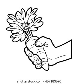hand holding carrot with leaves in outline-vector drawing