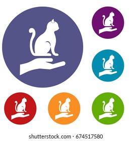 Hand holding a cat icons set in flat circle reb, blue and green color for web