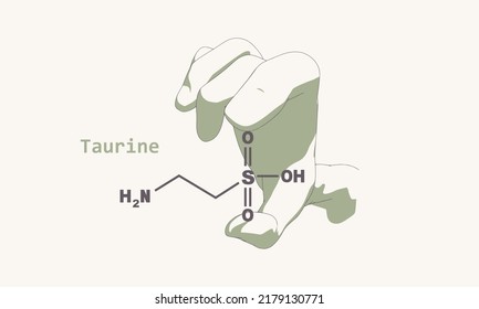 Hand holding chemical molecular formula of taurine.