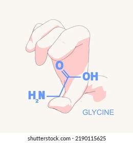 Hand holding chemical molecular formula of glycine .