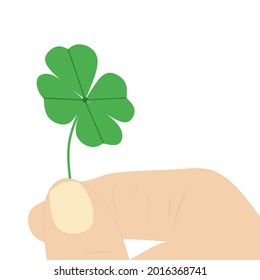 hand holding clover leaf on white background