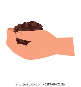 hand holding coffee beans design of drink caffeine breakfast and beverage theme Vector illustration