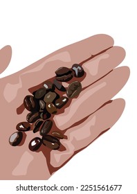 Hand, die Kaffeebohnen auf weißem Hintergrund hält