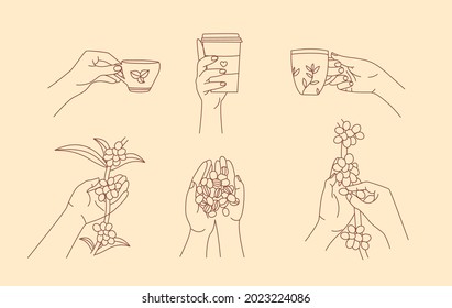 Hand holding coffee mug and picking fresh coffee berries line art elements collection. Growing and harvesting plants isolated outline set. Different cafe signs in contour design.