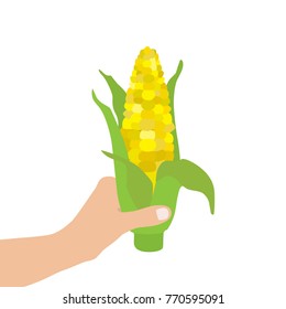 Hand holding a corn, vector illustration design. Hands collection.