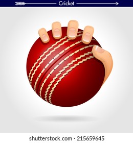Hand Holding a Cricket Ball Icon/Sticker