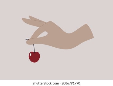 A hand holding a dark red sweet cherry