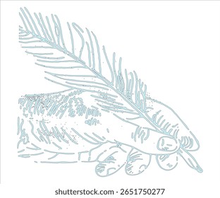 Mano que sostiene la Ilustración vectorial de rama de hoja perenne. Ilustración detallada de la rama de la mano en blanco.