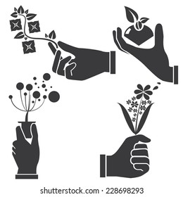 hand holding flowers set, vector set