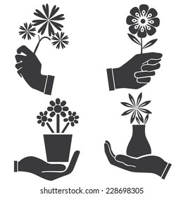 395,363 Hand holding flowers Images, Stock Photos & Vectors | Shutterstock