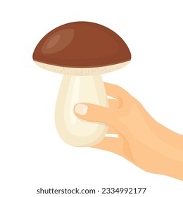 hand holding forest edible mushroom (Boletus, porcini)- vector illustration