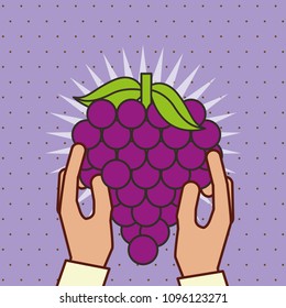 hand holding fresh fruit bunch grapes