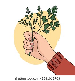 Hand holding a fresh green parsley. Ideal for concepts related to cooking, gardening, and healthy living.