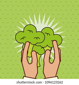 hand holding fresh vegetable broccoli