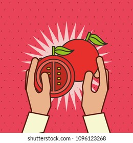 hand holding fresh vegetable tomato