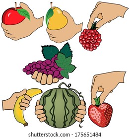 hand is holding fruit