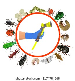 Hand Holding A Garden Sprayer And Different Types Of Insect Pests. Vector Illustration Isolated On White Background