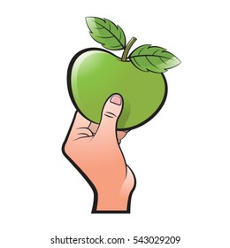 hand holding green apple-vector drawing