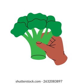 Hand holding a green broccoli. Healthy eating, vegan food and organic lifestyle concept. Organic farm vegetable. Vector illustration.