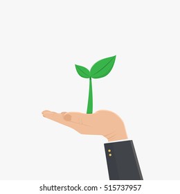 hand holding green leaf tree