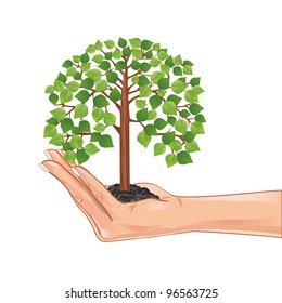 Hand holding a green tree, isolated on white background, element eco design.