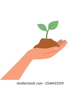 Hand holding a green young plant, concept of protect the nature.