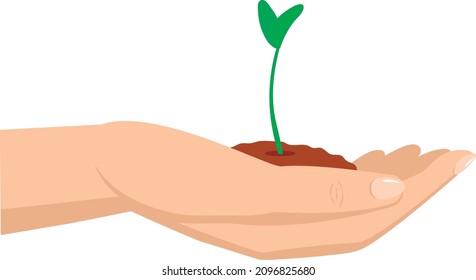 A hand holding a handful of earth with a young green sprout. Vector illustration isolated on transparent background.