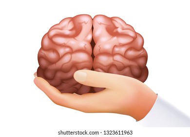 Hand holding human brain mind organ science concept isolated on white icon realistic design 3d template vector illustration - Shutterstock ID 1323611963