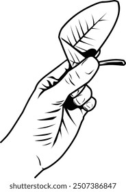 hand holding a leaf line art
