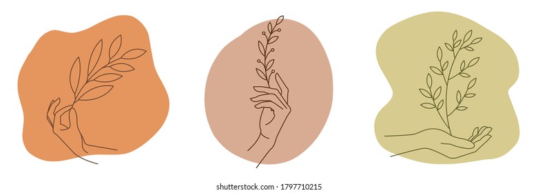 Hand holding leaf, logo template, line art style. Perfect for cosmetics skincare products branding design. Vector illustration