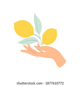 Hand holding lemon branch. Flat vector cartoon illustration on white background. Decorative design elements 