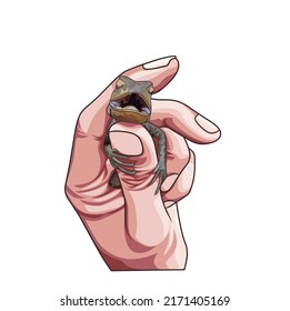The hand holding the lizard against the white background