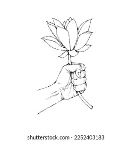 Hand holding Lotus flower, Hand Drawn Illustration