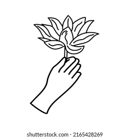 hand holding lotus flower linear illustration. Design hand drawn hand holding lotus flower. doodle vector illustration