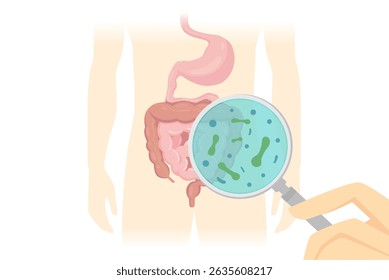Hand holding a magnifying glass scans the intestines to check for Probiotics. Illustration about live microorganisms, that provide health benefits.
