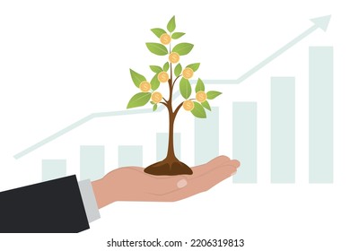 Hand holding money tree. Growing money tree, gold coins on branches. Symbol of wealth, growth, business success. Finance and banks, savings and investments. Coin crop. Flat style illustration
