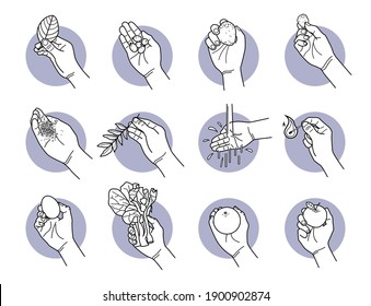 Hand holding natural things icons. Vector illustrations of hand holding nature objects such as leaf, seeds, stone, rock, sand, water, matchstick fire, egg, vegetable, orange, and apple. 