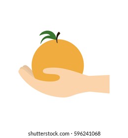 hand holding orange fruit vector illustration eps 10