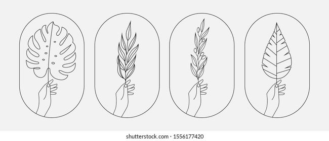 Hand holding palm, monstera leaf, olive branch and other plant icons, signs, emblems, logos set for home plant, decor store, olive product. Trendy linear thin line style. Isolated on background.Vector