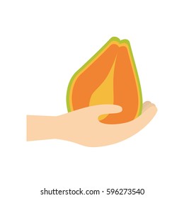 hand holding papaya fruit vector illustration eps 10