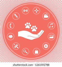 Hand holding paw symbol. Animal protection. Graphic elements for your design