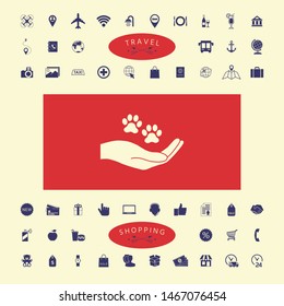 Hand holding paw symbol. Animal protection. Graphic elements for your design